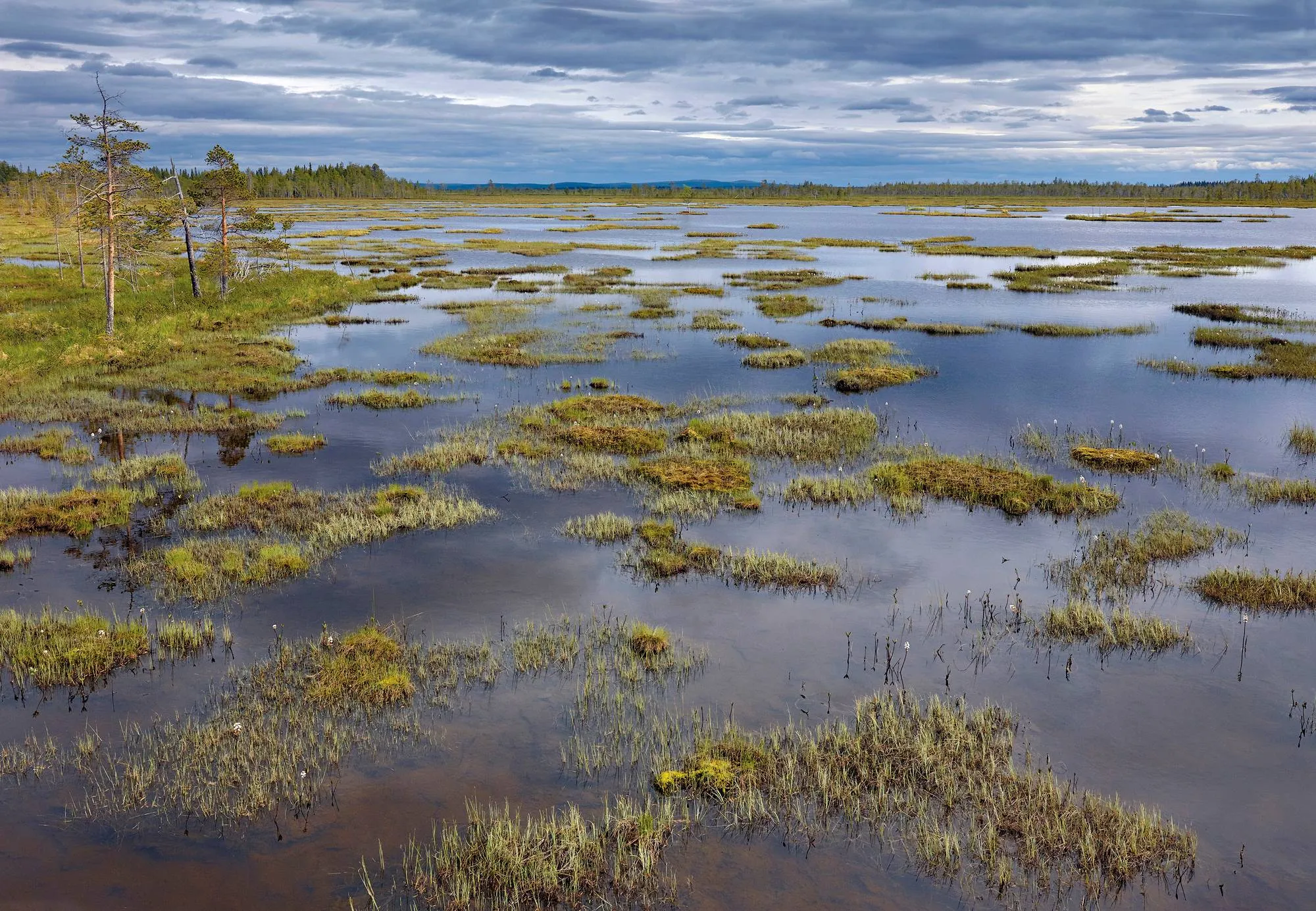 Suuri avorimpi malmiesiintymän päällä.