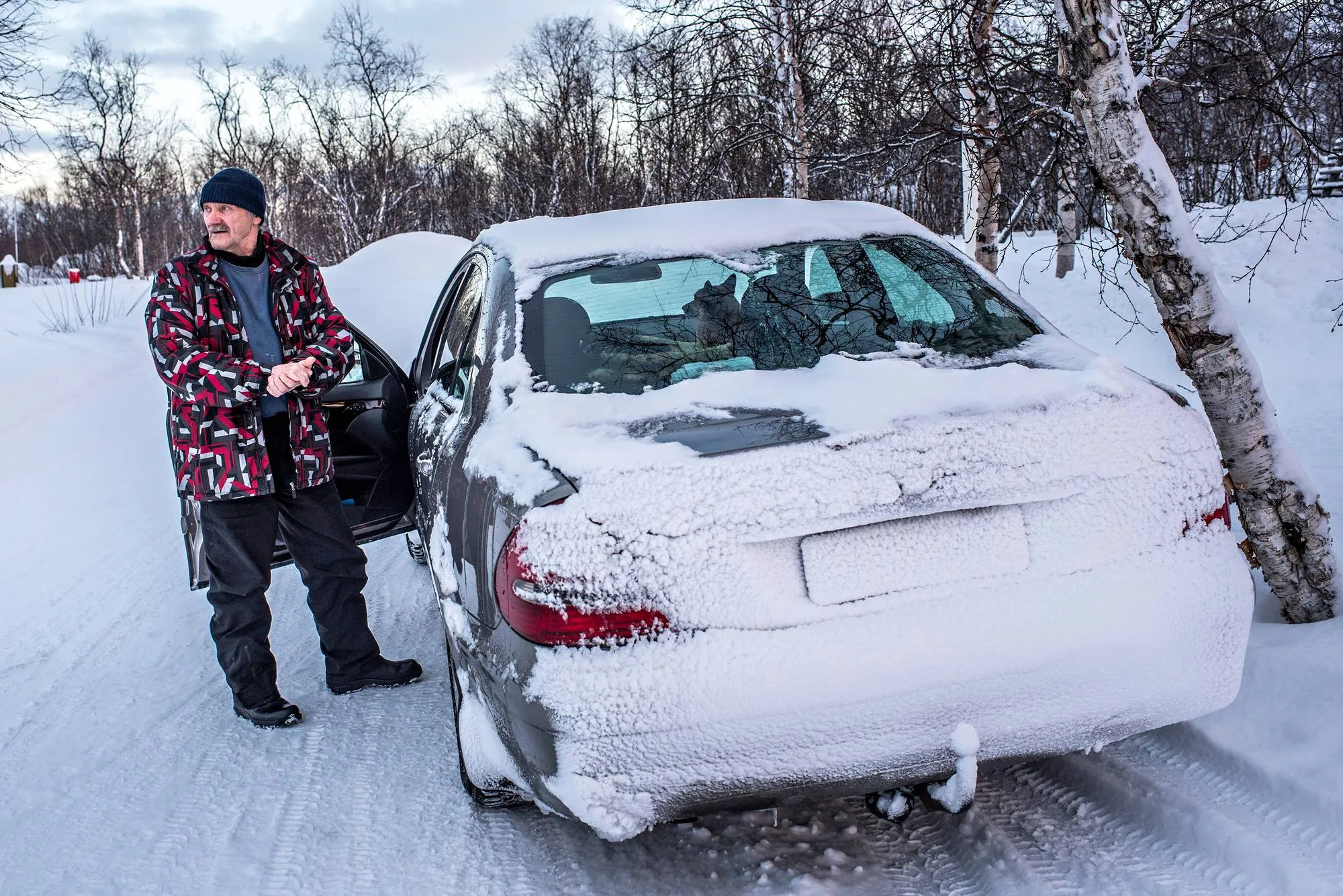 Junnu Halosen saamea ei kannata yrittää korjata. ”Älkää pitäkö minua pöljänä!”