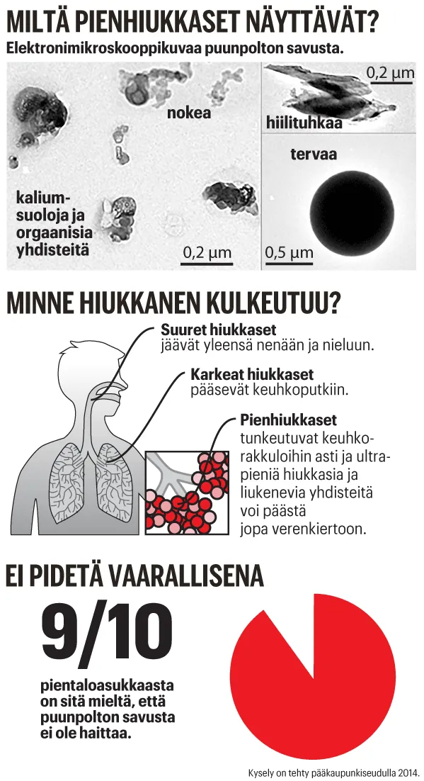Miltä pienhiukkaset näyttävät?