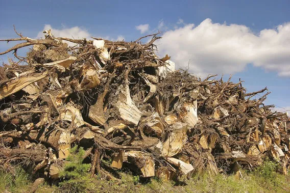 Puun energiakäyttö