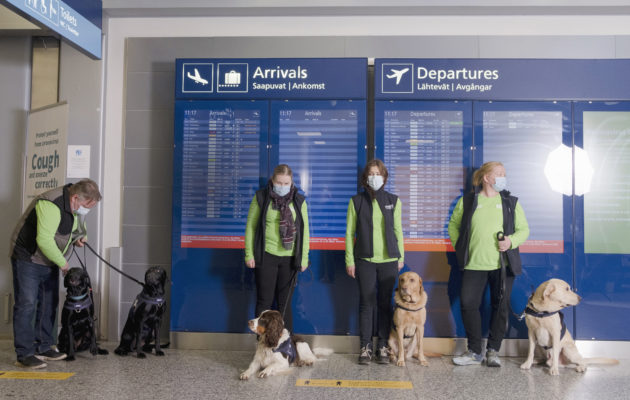 Uudet koronakoirat kävivät esittäytymässä lentokentällä 13. marraskuuta.