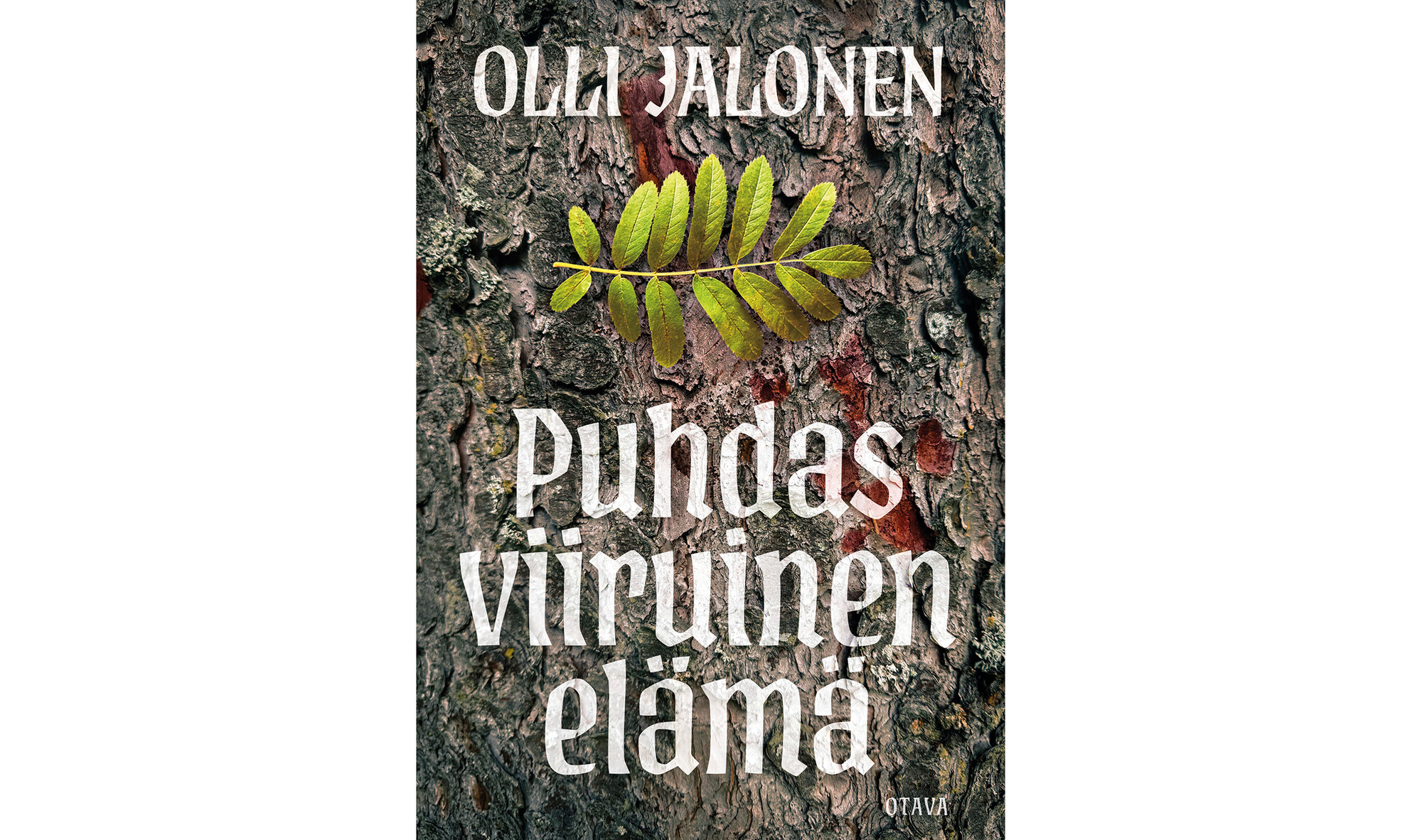 Arvio: Kunnioittavaa ja aitoa – Olli Jalosen romaanissa historia ei ole vintagea