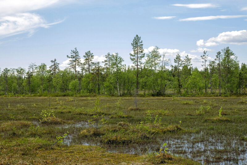 Suomen Kuvalehti