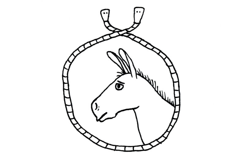 Suomen Kuvalehti